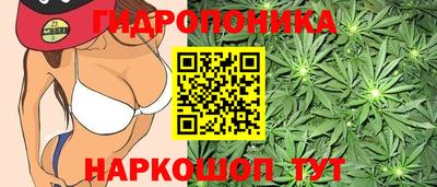 Альфа ПВП Белореченск