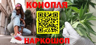 крисы Брянск